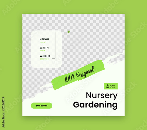 Greenery banner design for plant shop or product promotion