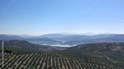 survol des champs d'oliviers (oliveraies), hacienda et village blanc en Andalousie dans le sud de l'Espagne	