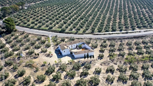 survol des champs d'oliviers (oliveraies), hacienda et village blanc en Andalousie dans le sud de l'Espagne	