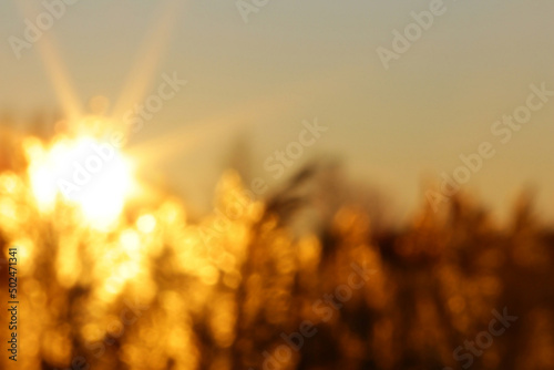 Abstract blurred golden sunset background with bokeh effect