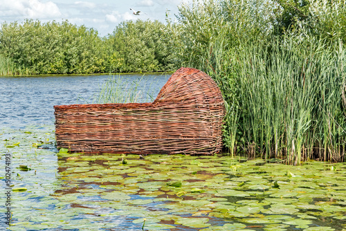 Photographie Basket of Moses, among the reeds and water lillies in the canals at Kinderdijk, Netherlands
