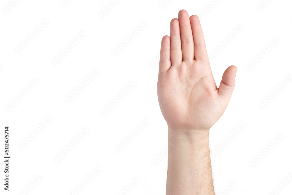 Brutal man hand isolated on white background. Opened male palm rised up. Finger gestures. Copy space Brutal man hand isolated on white background. Opened male palm rised up. Finger gestures. Copy space