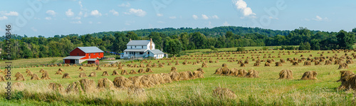 Field of Wheat Shocks with an Amish Farm in Background | Holmes County, Ohio