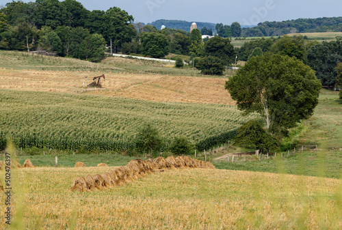 Wheat and Corn Fields with an Oil Well in Ohio's Amish Country in the Summer | Holmes County, Ohio