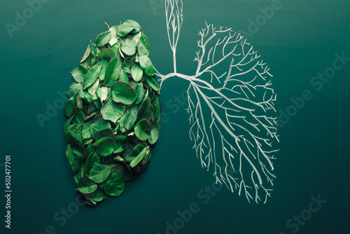 Lungs tree concept of air pollution and purification. Ecological symbol. Pneumonia and bronchitis idea illustration