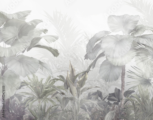 Fototapeta mglisty las deszczowy dzungla
