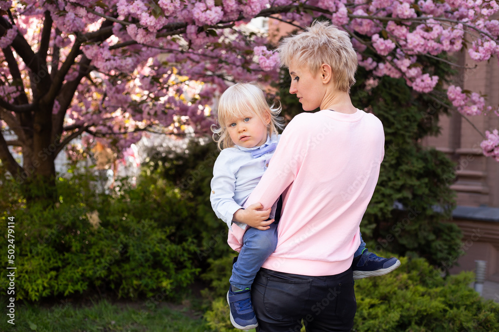 Fototapeta premium Beautiful woman with little baby boy near pink sakura blooming tree. Spring concept