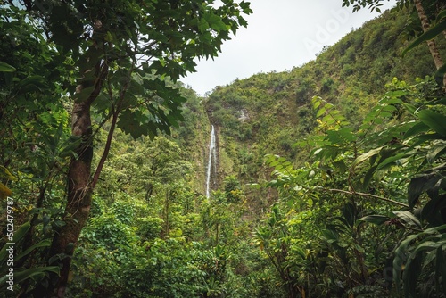 Waimoku Falls waterfall in Maui