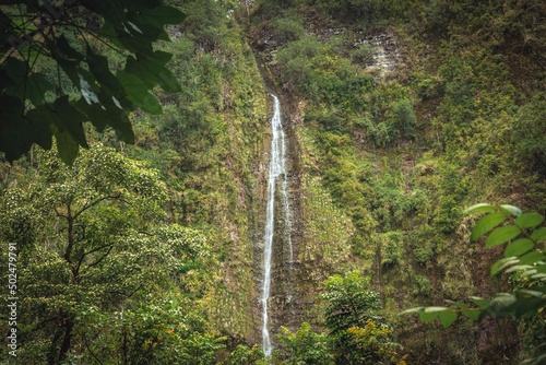 Waimoku Falls waterfall in Maui