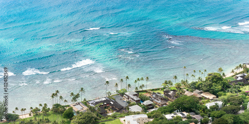 Foto Pacific through the Palms