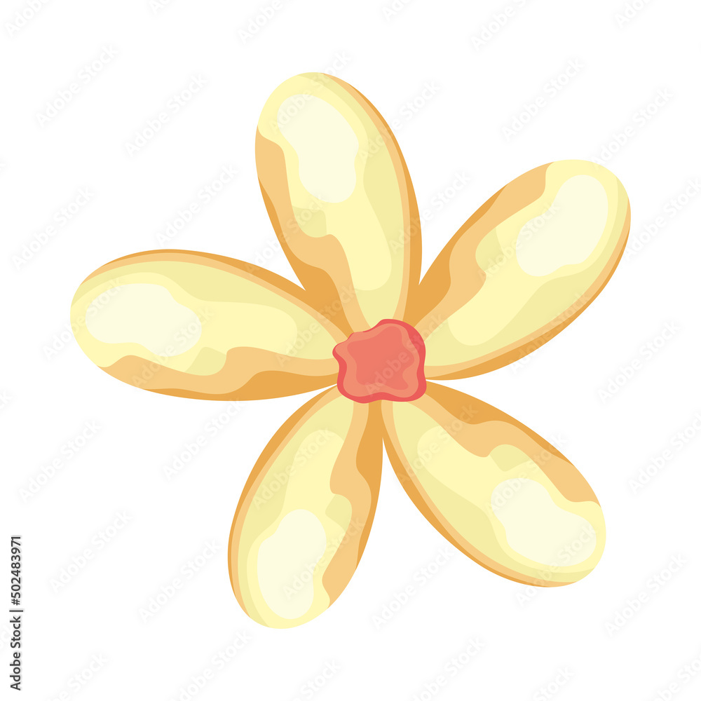 yellow flower garden yellow flower garden