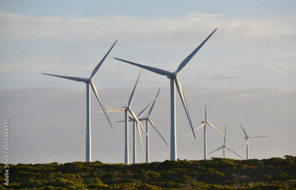 Wind turbine in busland
