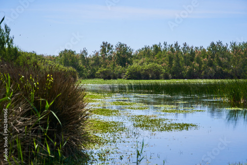 Lac