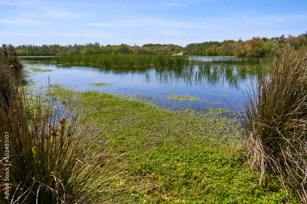 Lac Lac