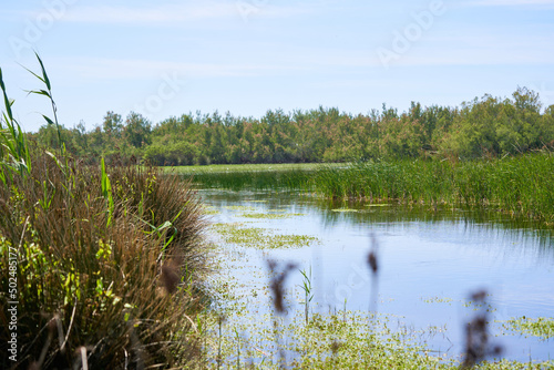 Lac