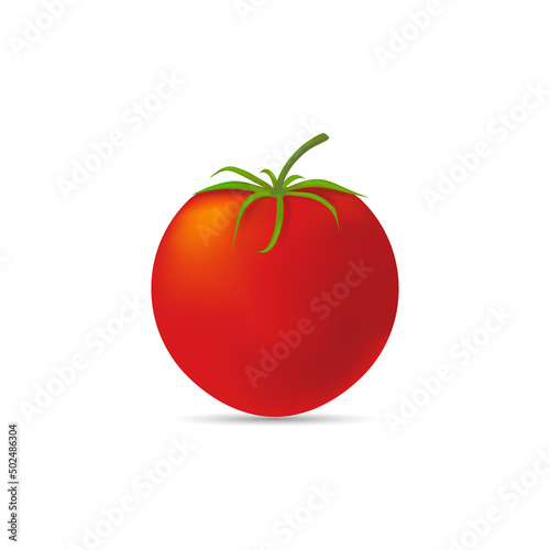 fruit tomatoes, red vector illustration isolated on white background