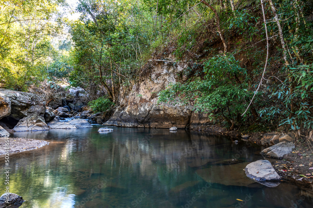 creek or stream flowing water in summer forest creek or stream flowing water in summer forest
