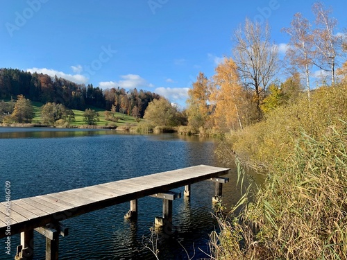 Türlersee - Holzsteg am See im Kanton Zürich bei Aeugst im Herbst - Schweiz in Europa. photo