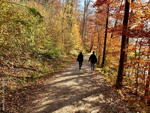 Paar wandert auf Waldweg im Herbst Wald Wanderer gehen durch den bunten Herbstwald / Herbstblätter 