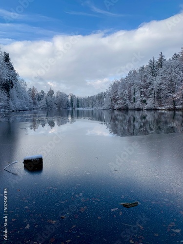 Waldweiher - Thalwil im Schnee - Winter / Winterlandschaft im Sihltal - See im Kanton Zürich - Schweiz