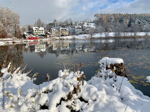 Winterlandschaft am Gattiker Weiher - Waldweiher Thalwil im Winter / Schnee im Sihltal Kanton Zürich