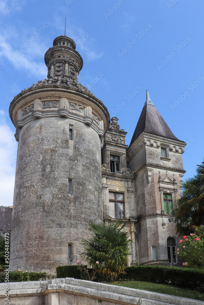 Nouvelle-Aquitaine - Charente-Maritime - Chateau d'Usson - Tour ronde et son lanternon