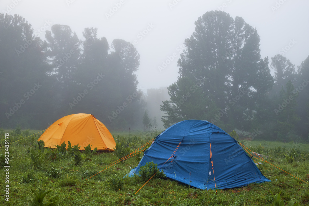 Tourist tent camp in a foggy mountain forest.