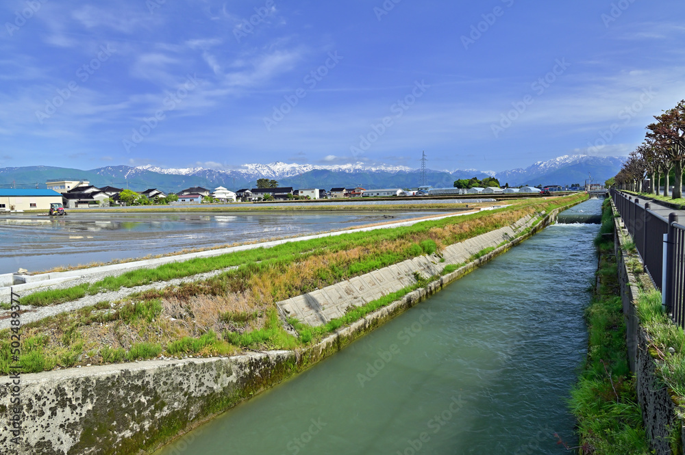 水豊かな用水路の風景　富山県入善町