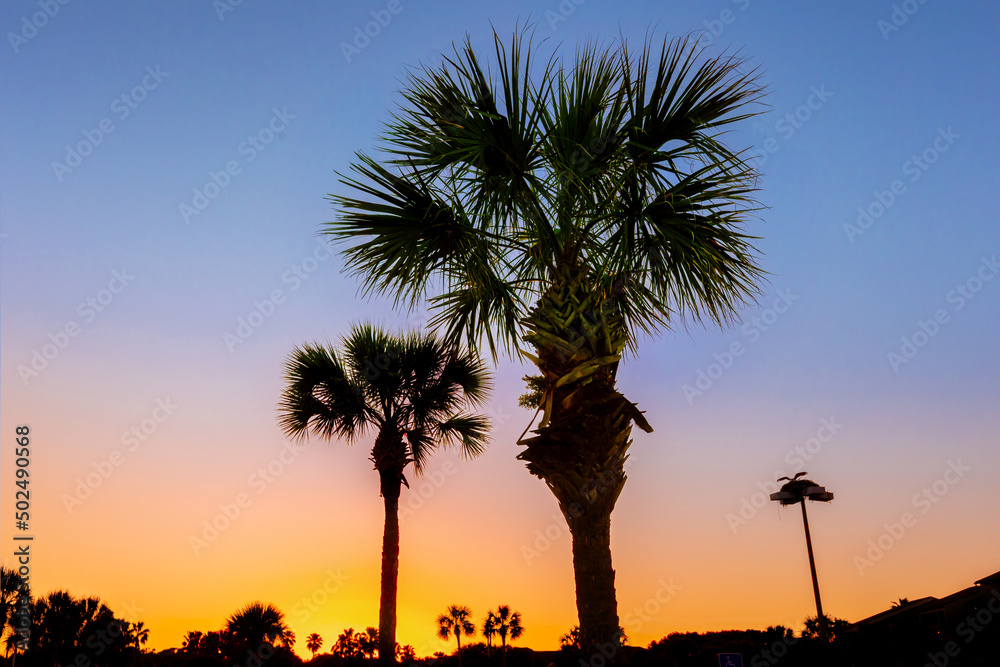palm trees at sunset in florida with orange and purple sky