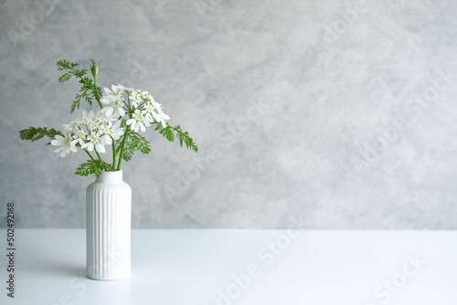Fotografi 白い花　植物　背景　シンプル　コピースペース