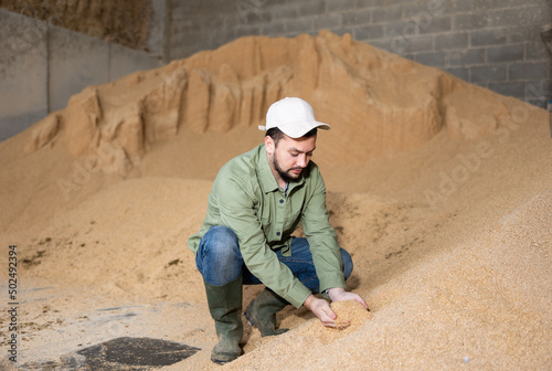 Interested young bearded farmer crouched near large pile of grinded soybean hulls for livestock feeding, checking quality of fodder