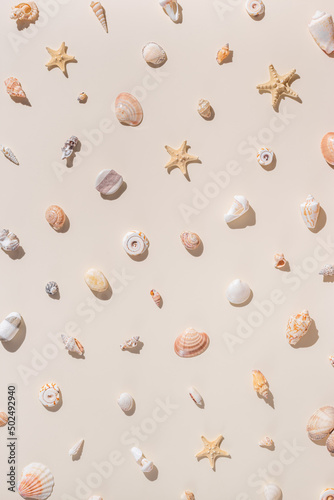 Seashells and starfish with hard shadows on beige background. Summer concept. Nautical pattern pastel colored. Aesthetic trend layout shells, sea stars, minimal style creative composition