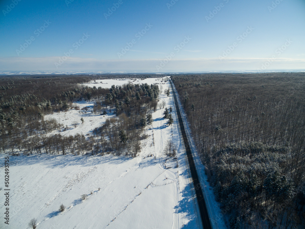Winter Landscape in North America