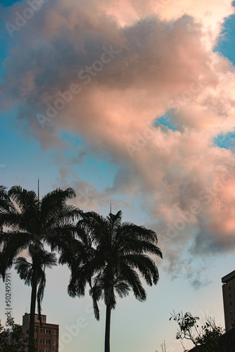 Sunset in downtown Rio