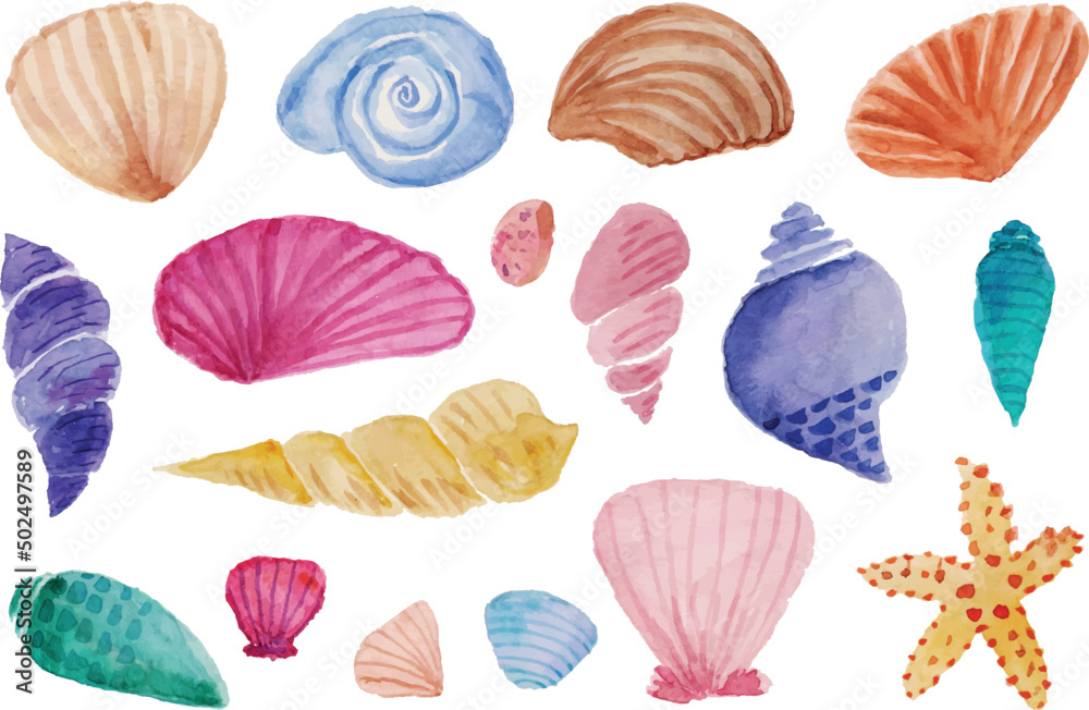 Watercolored Clam Shell set of cute sea shells and clam watercolor Stock Vector | Adobe Stock