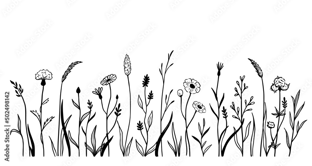 Wild field flower line set. Hand drawn doodle sketch style wild floral ...