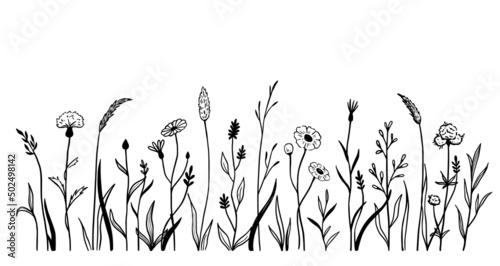 Wild field flower line set. Hand drawn doodle sketch style wild floral element for nature spring background. Flower, garden grass field outline vector illustration.