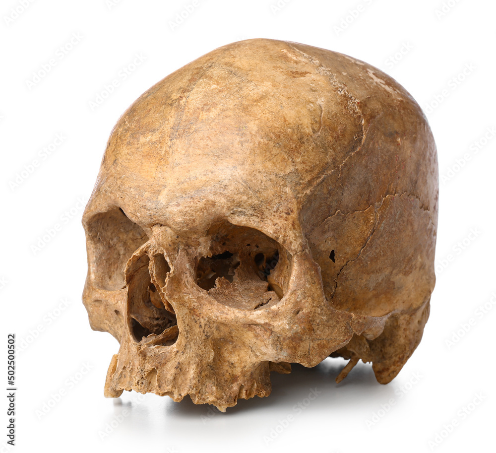 Ancient human skull isolated on white background Ancient human skull isolated on white background