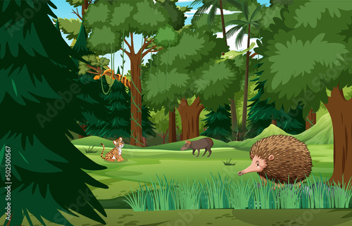 Forest scene with wild animals