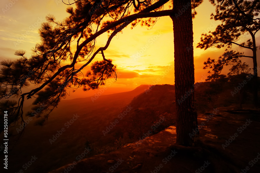 Sunset at Pha Mak Duk, Phu Kradueng mountain, Loei Province, Thailand Sunset at Pha Mak Duk, Phu Kradueng mountain, Loei Province, Thailand