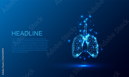 human lungs .Low poly style design. Abstract geometric background. Wireframe light connection structure.vector illustration © Thitipong