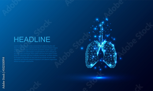 human lungs .Low poly style design. Abstract geometric background. Wireframe light connection structure.vector illustration
