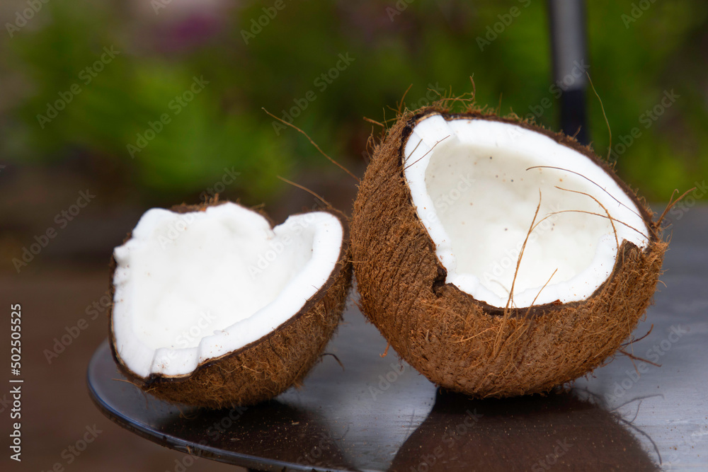 an opened coconut on display an opened coconut on display