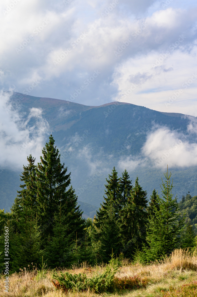 Landscapes of the Ukrainian Carpathians, a trip to the ridges of the mountains in Ukraine. Landscapes of the Ukrainian Carpathians, a trip to the ridges of the mountains in Ukraine.