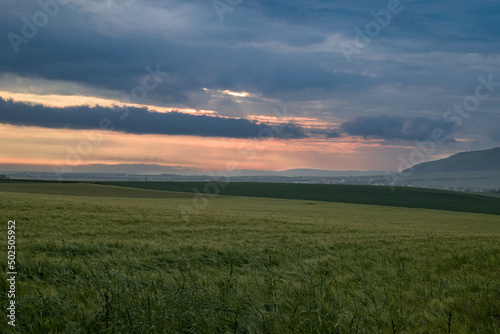 sunset over the field © Stefan Zimmer 