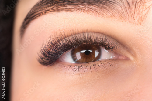Fototapeta Naklejka Na Ścianę i Meble -  Eye close-up. beautiful woman with eyelash and eyebrow correction in a beauty salon, eyelash extensions result. eye care