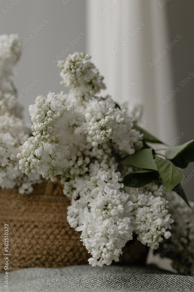 White lilac in a basket in the interior. Lilac on the window on a gray background