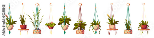 House plants in hanging pots, isolated set of flowers in macrame hangers. Green planters in handmade holders made of rope for home interior decoration on white background, Cartoon vector illustration
