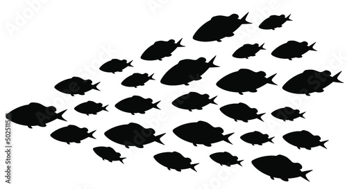 Abstract fish school in silhouette style. Underwater life
