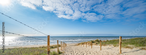 A path with many tracks, delimited by wooden posts on the sand dune with wild grass and beach in Noordwijk on the North Sea in Holland Netherlands - Panorama sea landscape with blue sky and clouds